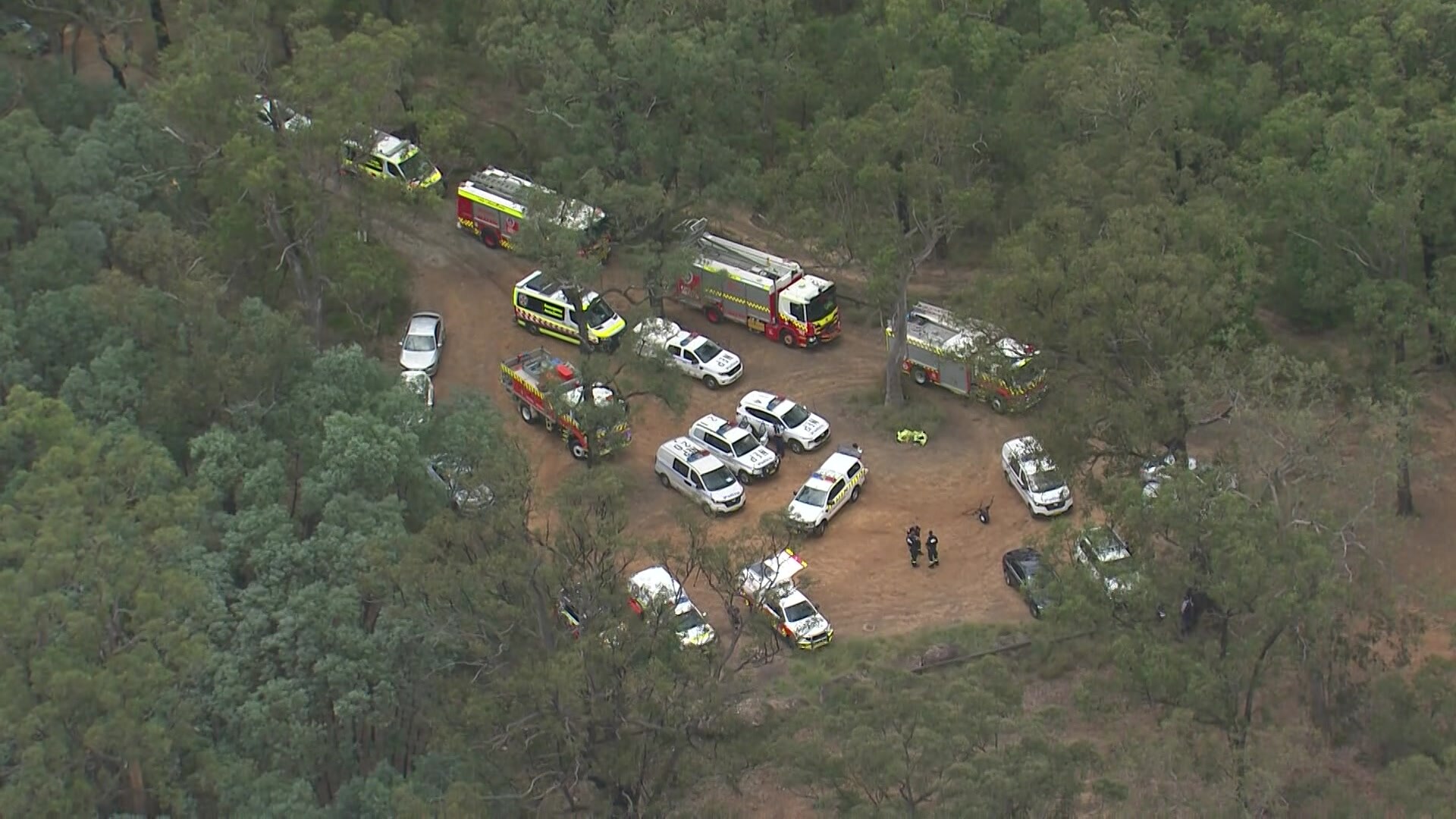 Police cars, fire trucks and other vehicles parked in a dry, forested area.