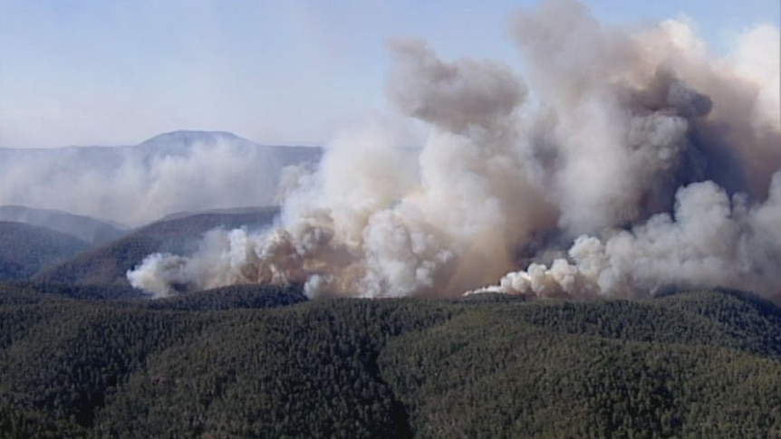 The fire has already burnt through 2,500 hectares.