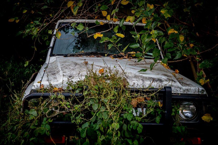 Chris Pearson's abandoned car.