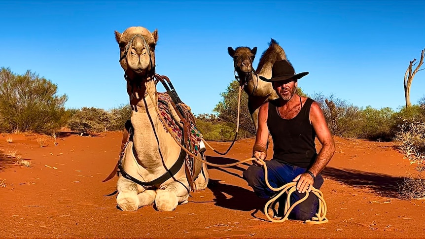 A man in a cowboy hat sits next to two camels in the desert.