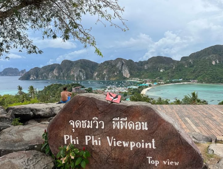 A willie wagtail painting at Phi Phi Viewpoint in Thailand.