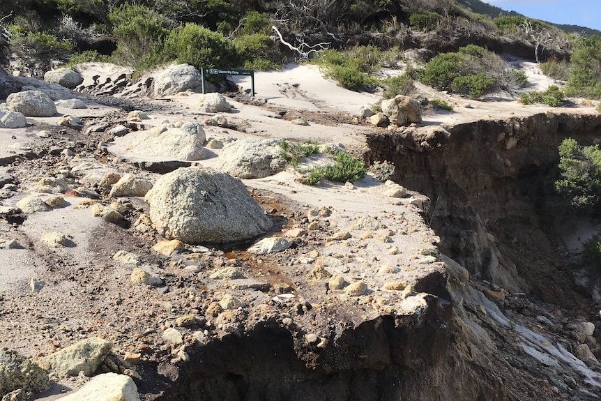 A 6-8 metre drop off appears at the end of a beach track, the sand has been washed away