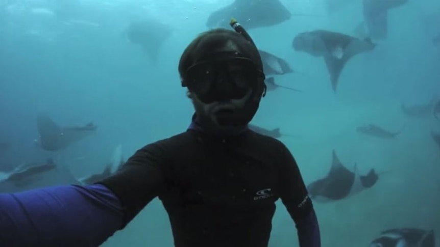 Thomas Peschak goes diving with manta rays