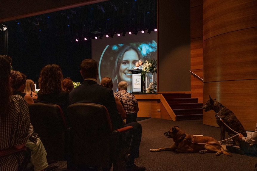 Two dogs sit in an auditorium.