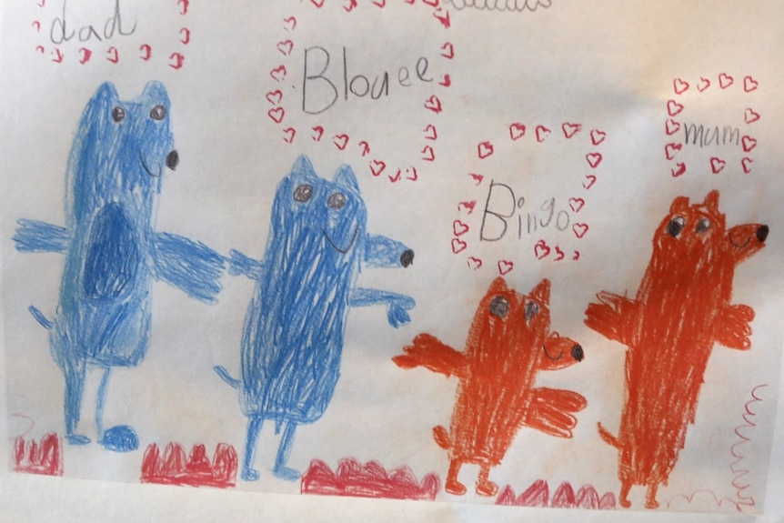 A child's drawing of two blue dogs and two orange dogs with love hearts around their names: dad, blouee, bingo, mum.