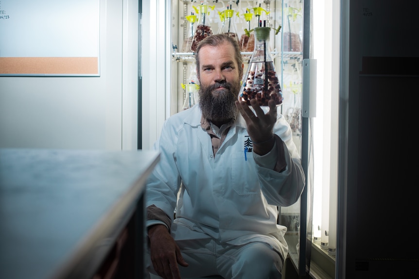 A bearded man in a white lab coat seated in front of a lab fridge. He holds up a glass jar of red seaweed floating in water