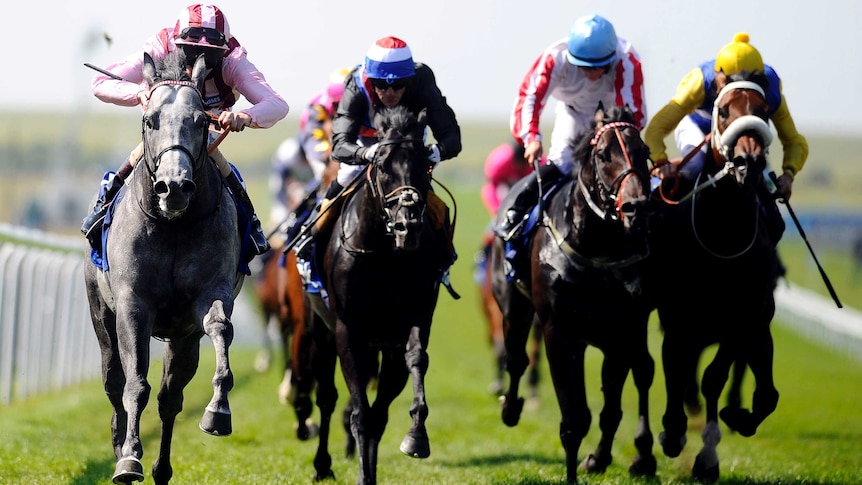 Lethal Force wins July Cup at Newmarket