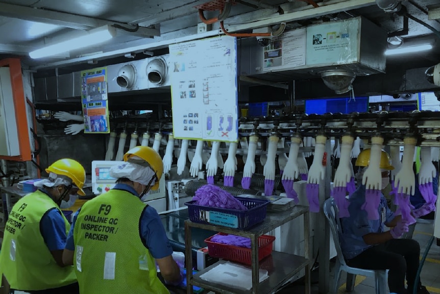 Image of production line workers at a Top Glove factory