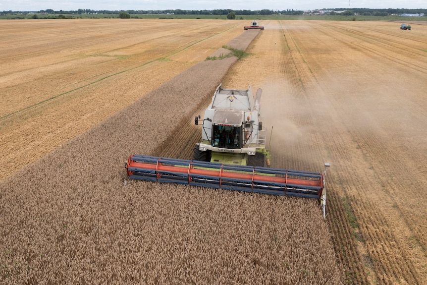 Harvesters collect wheat from a field in the village of Zghurivka, Ukraine.