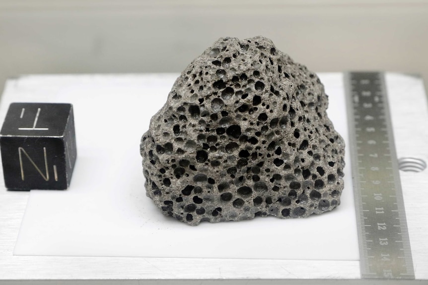 Apollo 15 basalt rock is displayed in a pressurized nitrogen-filled examination case.