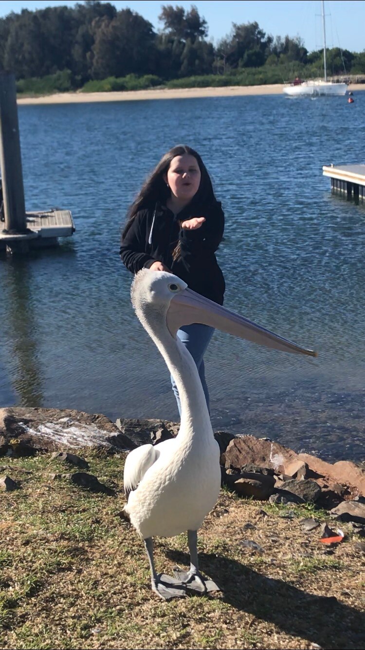 Waste warrior youth tackle fishing line pollution to prevent coastal