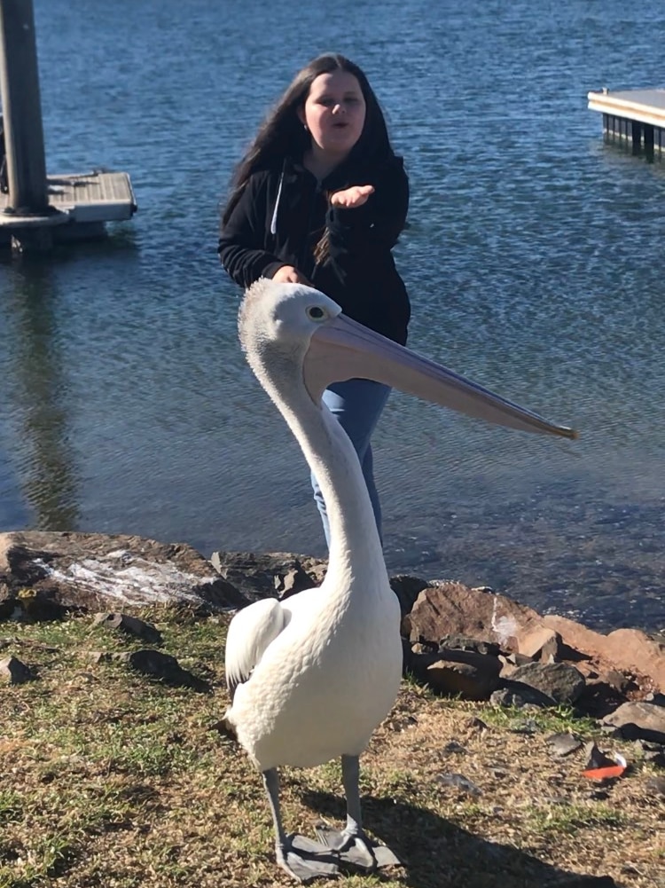 Young girl blowing a kiss to a pelican by a river.