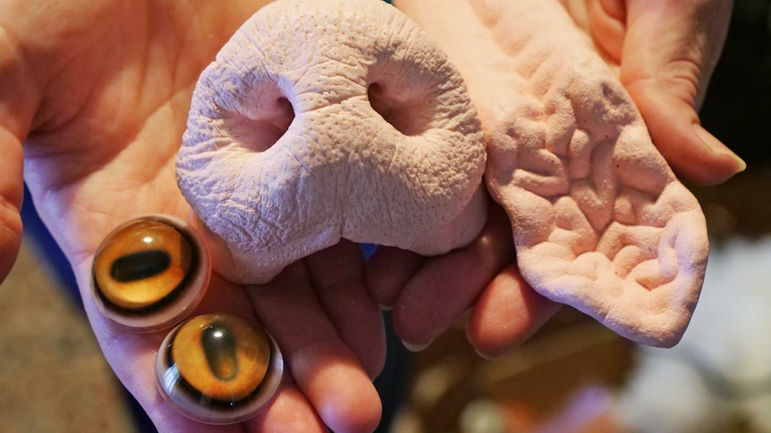 hands holding fake animal eyes, a nose and a tongue