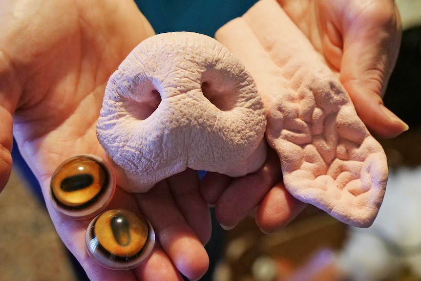 hands holding fake animal eyes, a nose and a tongue