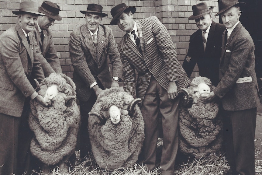 A black and white photo of six men in suits lined up holding three rams