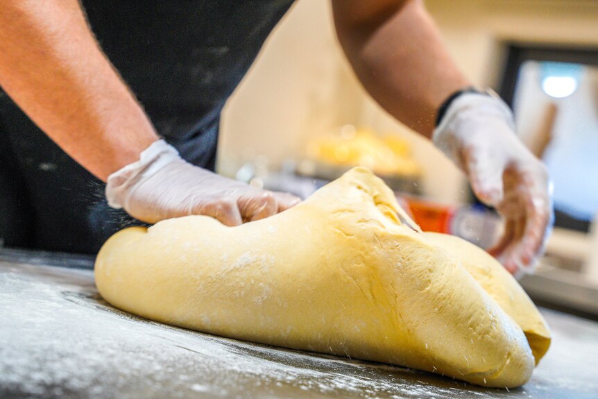 Hands, wearing gloves, roll out dough on a bench in a commerical kitchen
