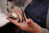 A close up of a woman's hand, holding a necklace made using eagle claws