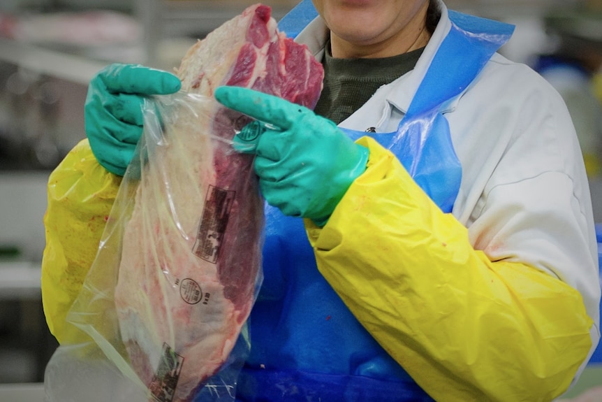 Gloved hands holding meat on processing line.