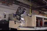 The humanoid robot is seen in action making its way up a mult-tiered platform.