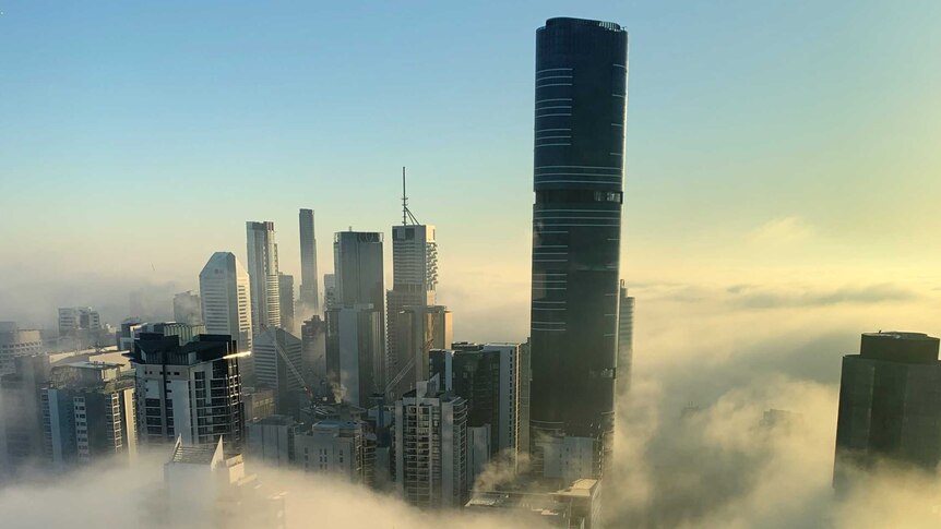 Highrise buildings appear through the top of fog covering the Brisbane CBD.