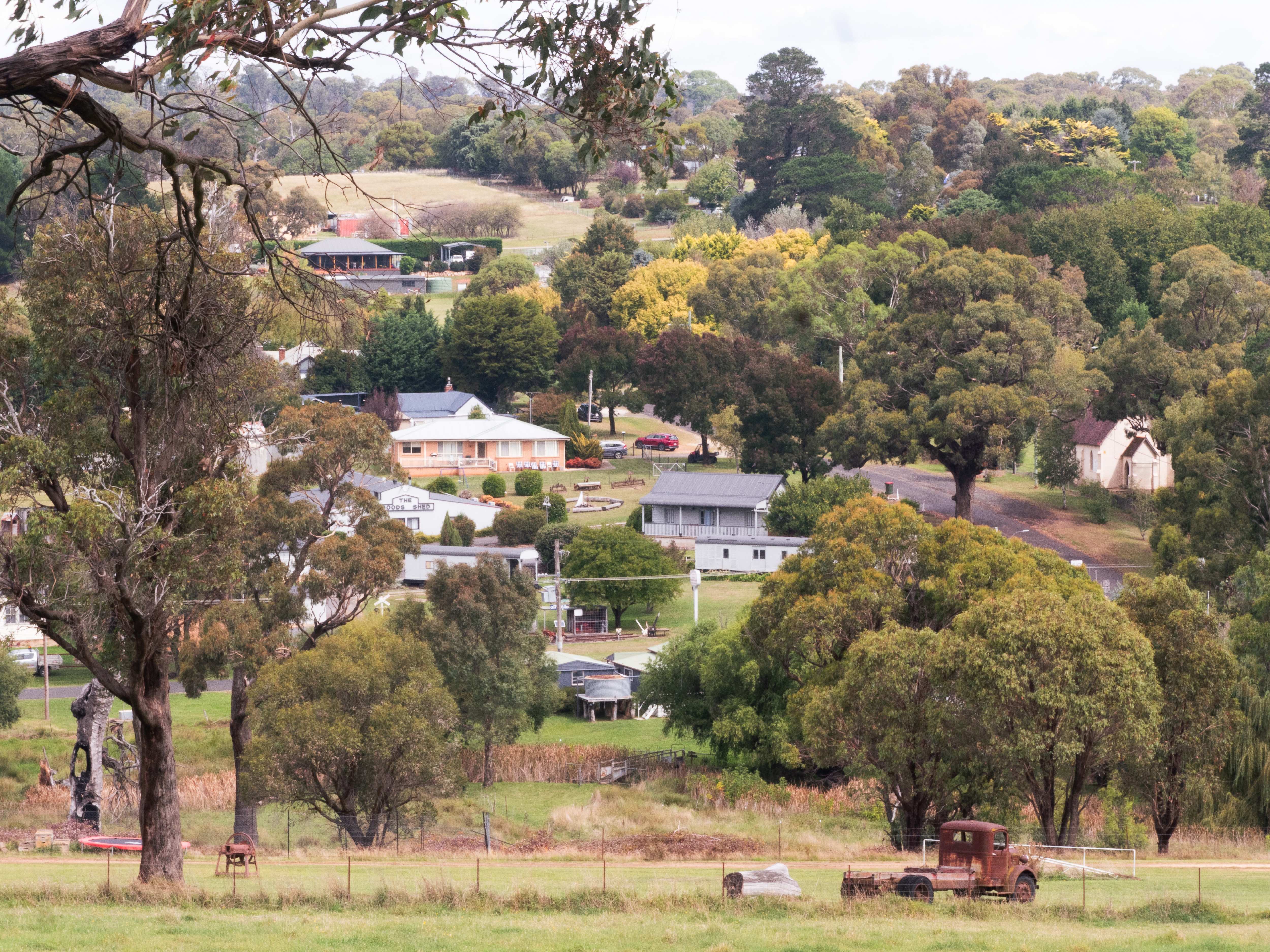 Trees, houses, greenery of a small town