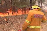 a fire fighter with a torch in front of burning trees