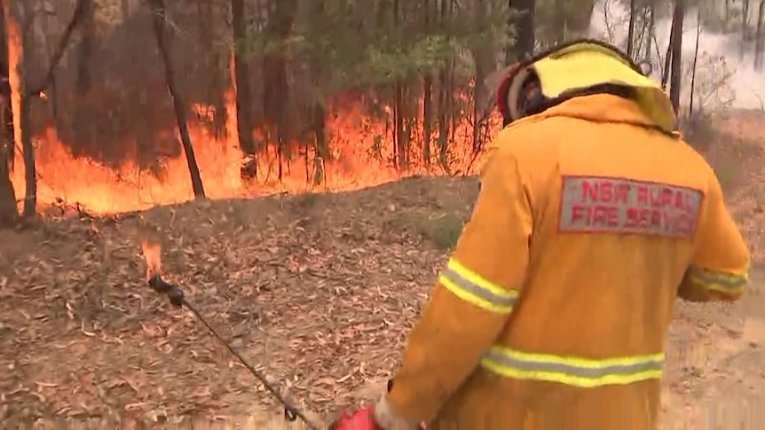 a fire fighter with a torch in front of burning trees