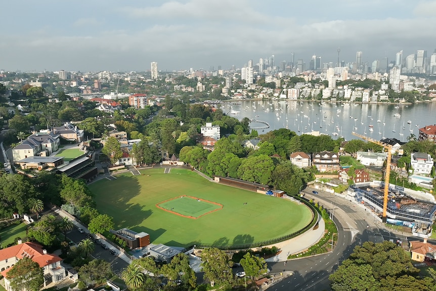 An aerial shot of a school campus with a large oval. It is near Sydney Harbour and in the distance is the CBD skyline.