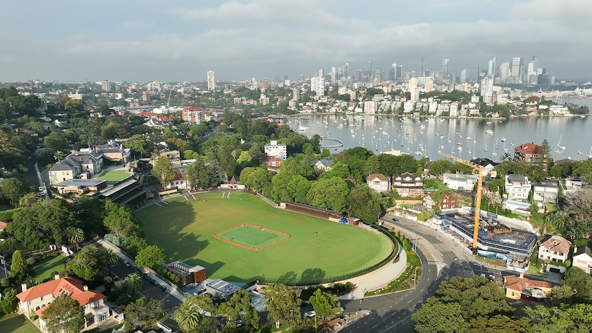 An aerial shot of a school campus with a large oval. It is near Sydney Harbour and in the distance is the CBD skyline.