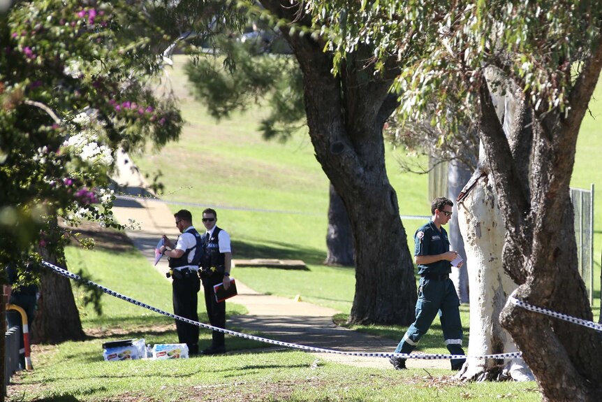 Police officers standing in a park investigating a fatal domestic dispute with trees and police tape in the foreground.