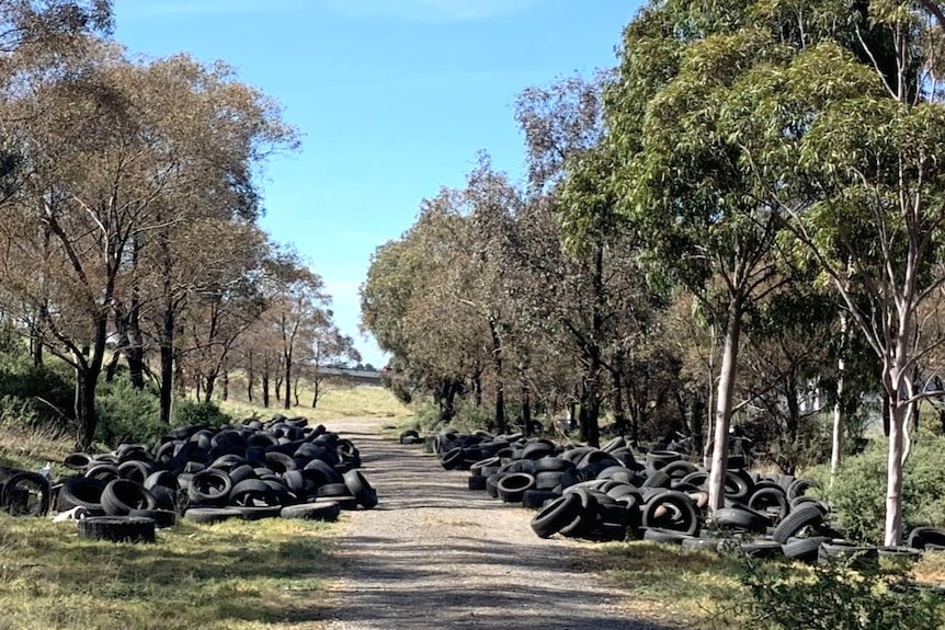 Old car tyres abandoned by road 