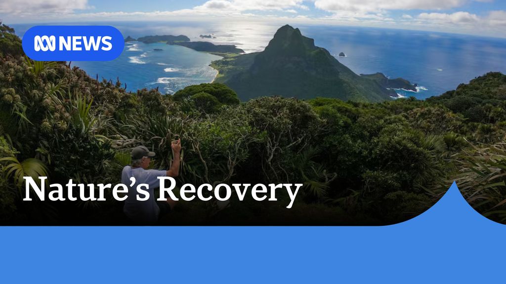 Nature's Recovery: Looking down at a forested mountainous peninsular jutting into the ocean from an outcrop.