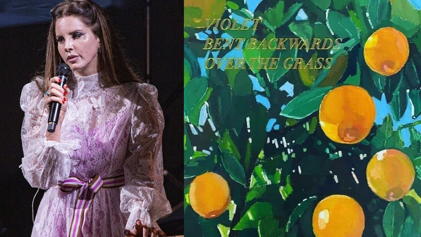 A collage of Lana Del Rey performing live and the cover art to her spoken word album Violet bent Backwards Over The Grass