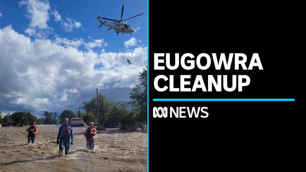 Residents reveal harrowing details of floodwater escape - ABC News