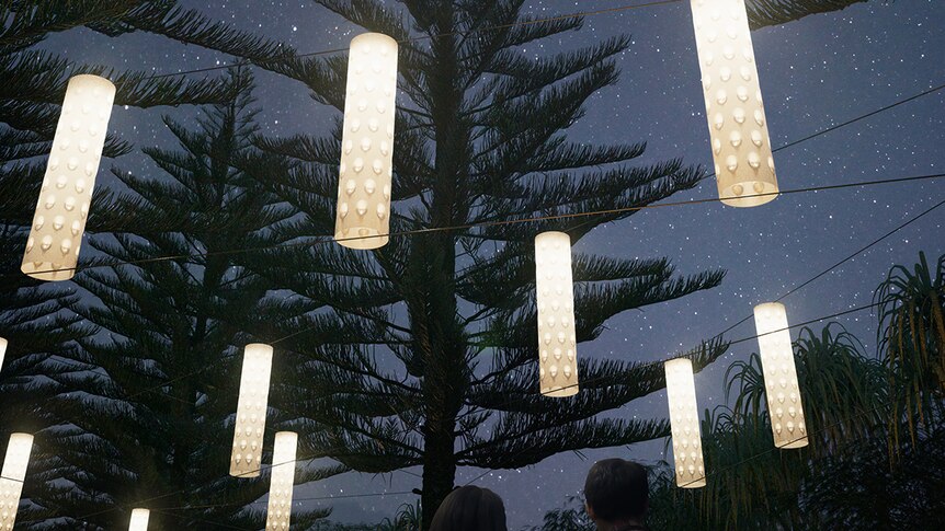 You see a render of a light installation looking up at a starry night sky, with light bulbs appearing like Banksias.