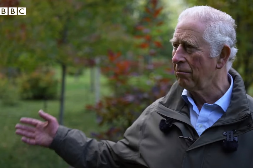 Prince Charles raises one hand during an interview.