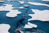 A large crack in sea ice can be seen beneath the surface of the water in between apparently melting ice flows.