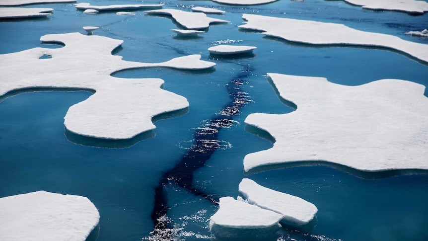 A large crack in sea ice can be seen beneath the surface of the water in between apparently melting ice flows.