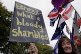 A woman holds up a placard saying "Brexit what a bloody shambles"