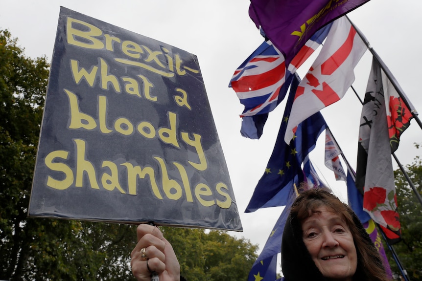 A woman holds up a placard saying "Brexit what a bloody shambles"