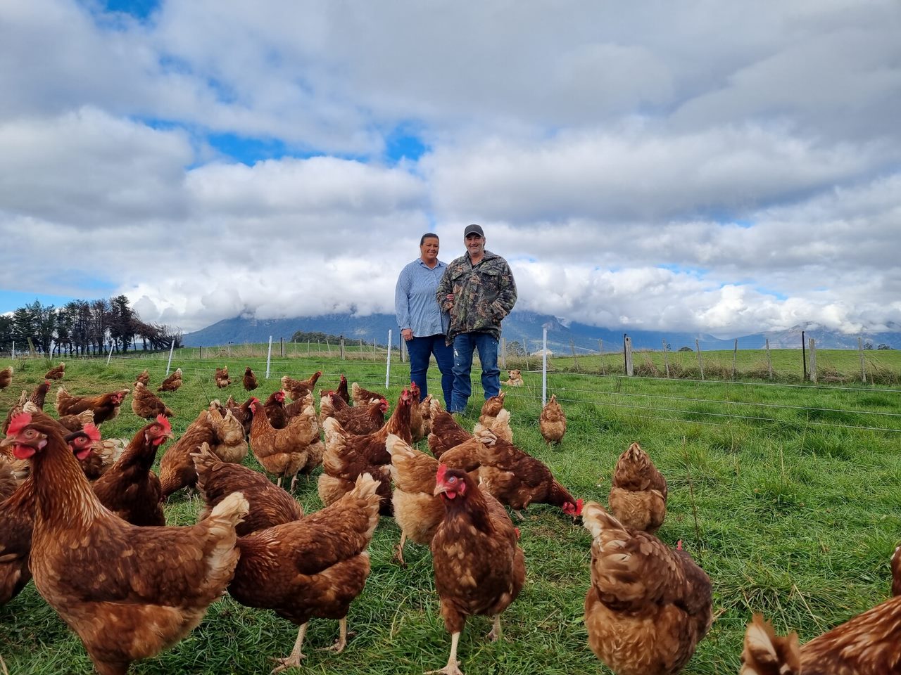 A couple stand behind a flock of brown hens, with green grass and clouds in the sky.