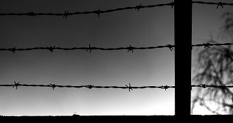 Barbed wire, silhouetted against a light background