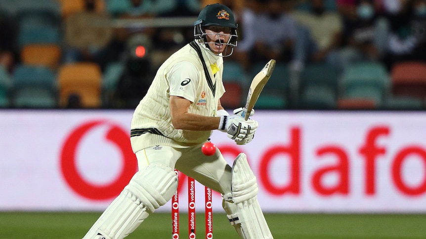 Australia batter Steve Smith shouts while batting in an Ashes Test in Hobart.