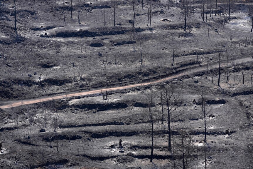 A scorched mountain following fires which passed through the area.