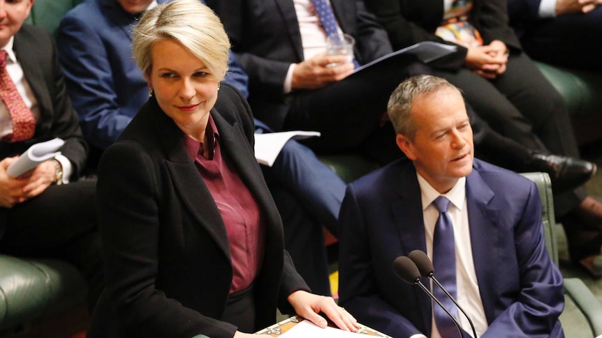 Tanya Plibersek and Bill Shorten look amused in Parliament.