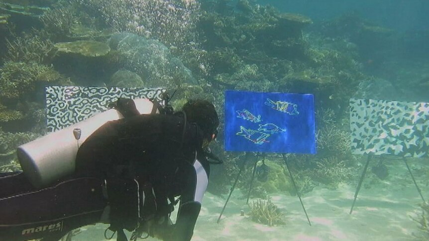 A series of paintings by artist BJ Price on display underwater on Moore Reef off Cairns