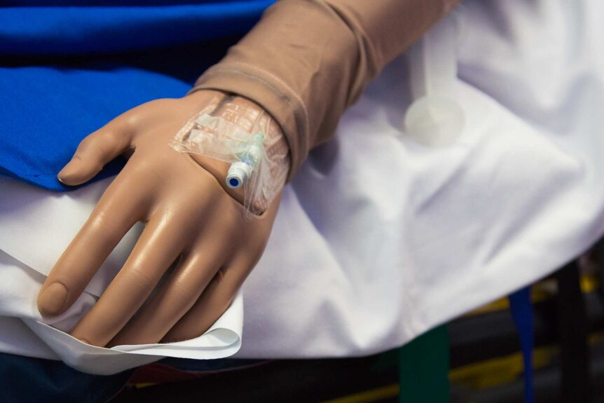 A cannula up-close on a mannequin.