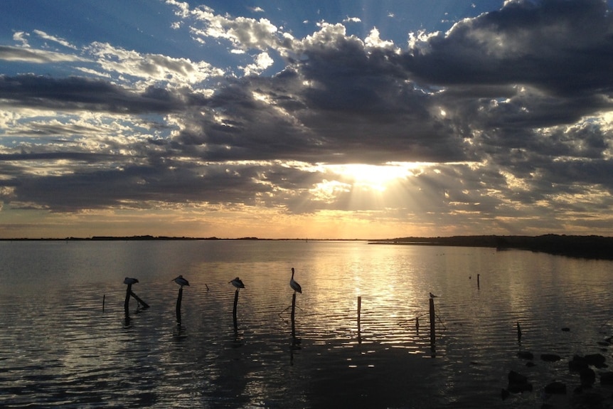 Sun sets over Murray