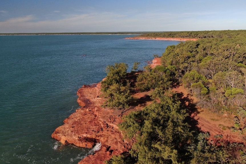 The Tiwi Islands coastline seen from above.