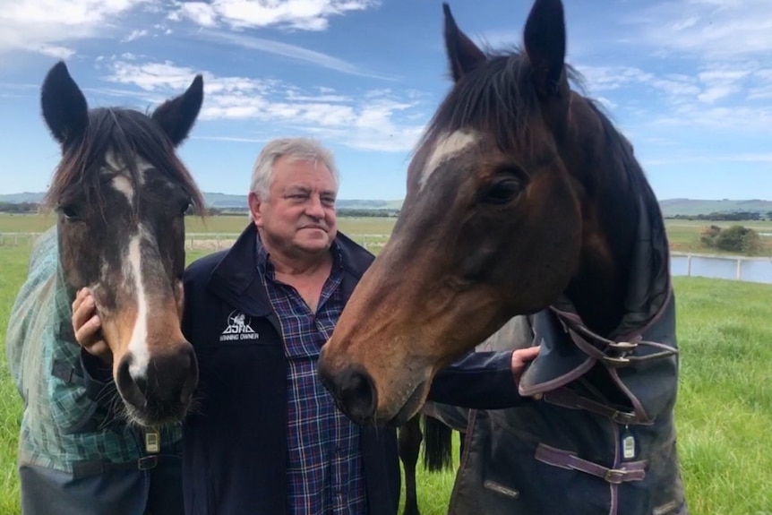 A man stands between two brown and white racehorses in a paddock.